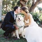Ashley Grace Bridal what to consider before including your pet in your wedding