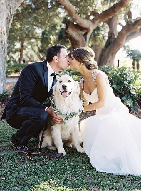 how do you have a dog at your wedding