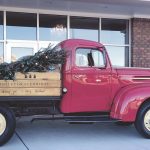red truck christmas photos