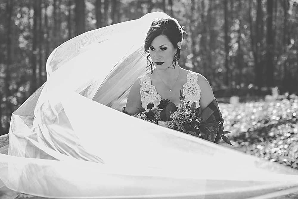 ashley grace bridal veil
