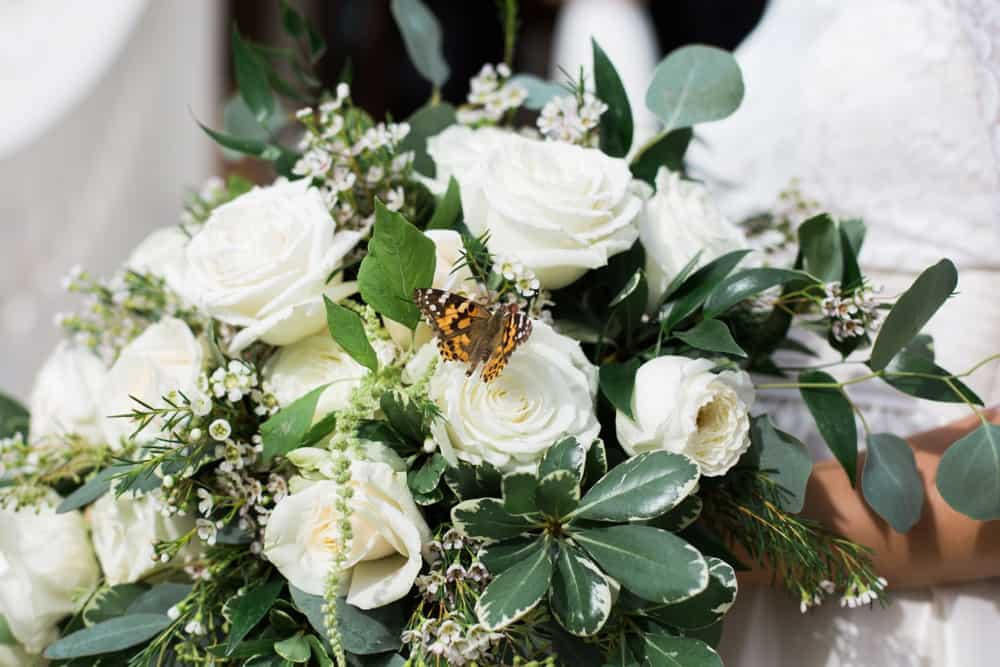 white bridal bouquet in lynchburg va