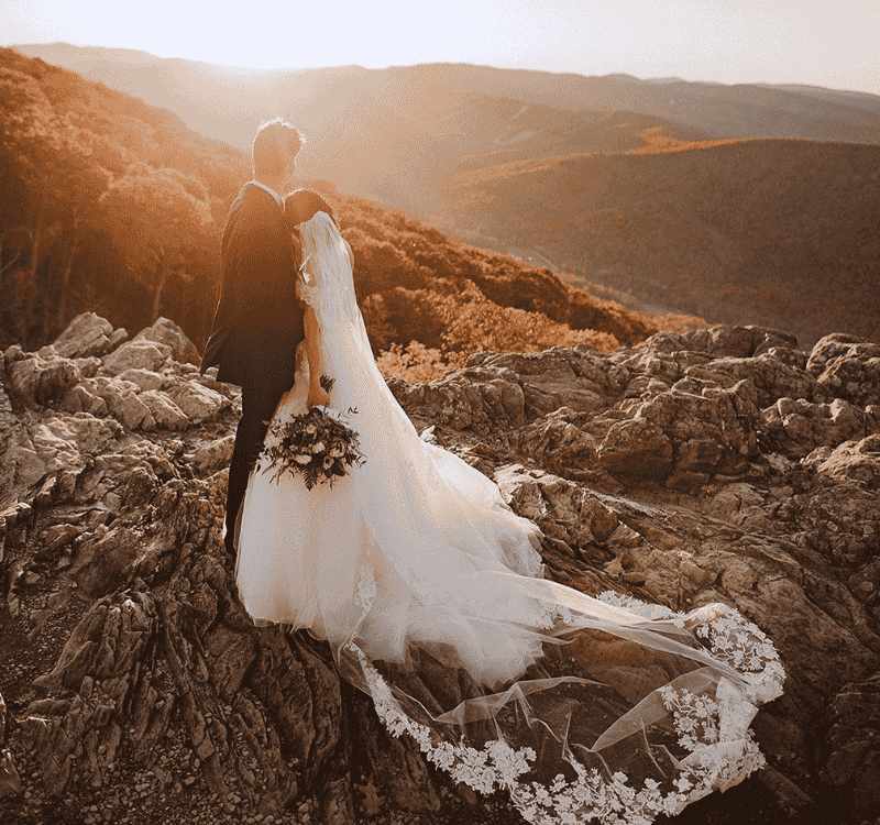 cathedral veil