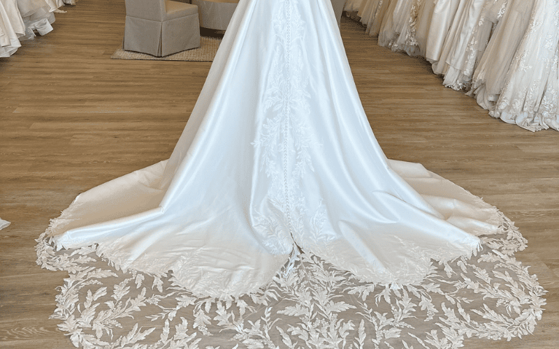 Cathedral Wedding Dress Train